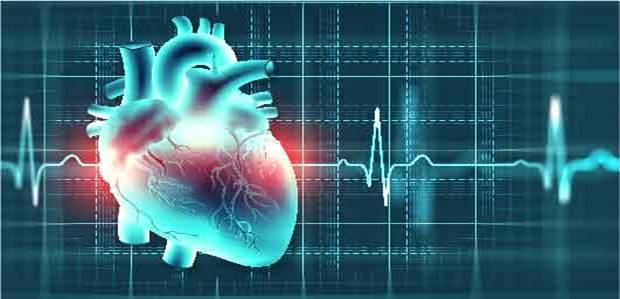 Cardiology Services