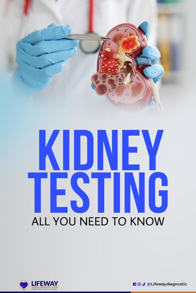 kidney function test